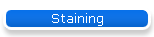 Staining